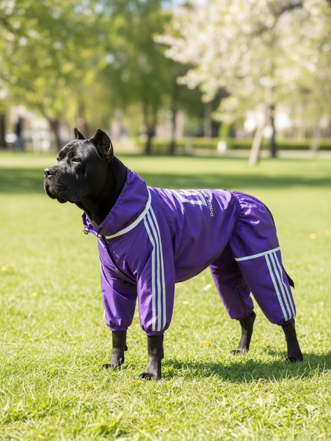 Дощовик для великих порід собак 13XL 81-85cm Корсо Мастіф Дог Dog's Happiness Фіолетовий Дівчинка 0152-01/43 - Фото 1 Дощовик для великих порід собак 13XL 81-85cm Корсо Мастіф Дог Dog's Happiness Фіолетовий Дівчинка 0152-01/43 - изображение 1