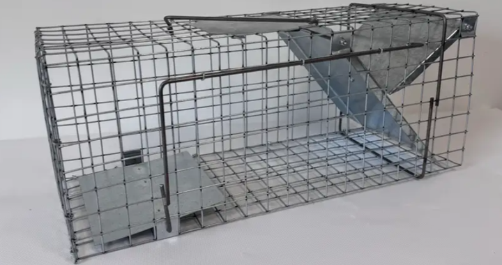 Оцинкованная живая ловушка EasyTrap 50х17х20см живоловка для мелких животных, Клетка - ловушка для безопасного отлова - Фото 3 Оцинкованная живая ловушка EasyTrap 50х17х20см живоловка для мелких животных, Клетка - ловушка для безопасного отлова - изображение 3