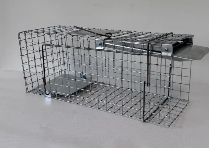 Оцинкованная живая ловушка EasyTrap 50х17х20см живоловка для мелких животных, Клетка - ловушка для безопасного отлова - Фото 5 Оцинкованная живая ловушка EasyTrap 50х17х20см живоловка для мелких животных, Клетка - ловушка для безопасного отлова - изображение 5