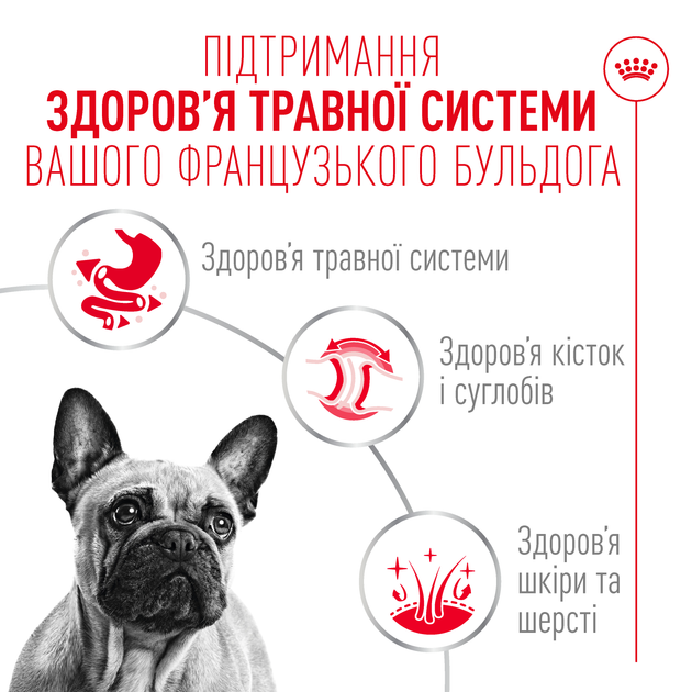 Консервований корм Royal Canin French Bulldog Adult Вологий корм для дорослих собак породи Французький бульдог 85 г (R604332) - Фото 4 Консервований корм Royal Canin French Bulldog Adult Вологий корм для дорослих собак породи Французький бульдог 85 г (R604332) - зображення 4