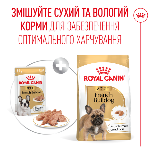 Консервований корм Royal Canin French Bulldog Adult Вологий корм для дорослих собак породи Французький бульдог 85 г (R604332) - Фото 6 Консервований корм Royal Canin French Bulldog Adult Вологий корм для дорослих собак породи Французький бульдог 85 г (R604332) - зображення 6