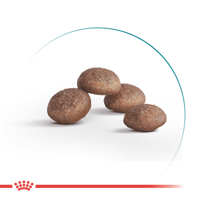 Сухий корм Royal Canin Ageing 11+ Sterilised Сухий корм для для стерилізованих/кастрованих котів віком від 11 років 400 г (R475950) - зображення 2