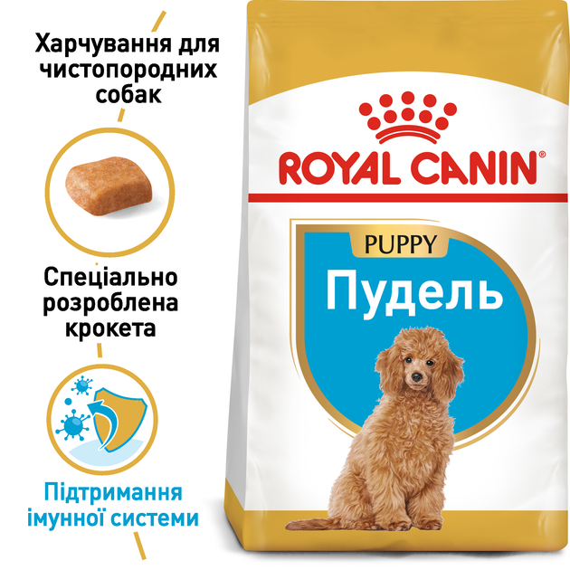 Сухой корм Royal Canin Poodle Puppy – сухой корм для щенков породы Пудель 500 г (R448445) - Фото 2 Сухой корм Royal Canin Poodle Puppy – сухой корм для щенков породы Пудель 500 г (R448445) - изображение 2
