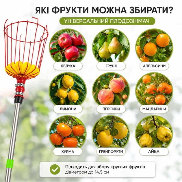 Плодосъемник для сбора фруктов с телескопической ручкой 1,6 м (для яблок, груш, персиков, лимонов и других фруктов) - изображение 3