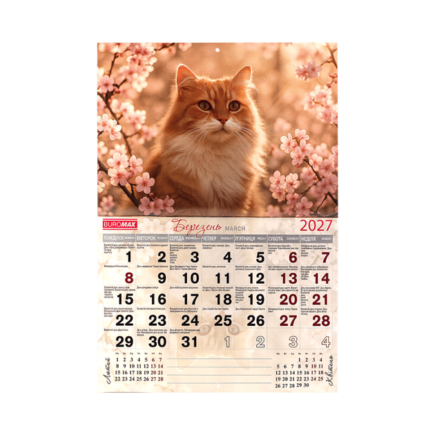 Календар настінний перекидний BuroMax "Коти" 2027 330х480 мм 120 г/м2 14 аркушів на скобі (BM.210301) - зображення 5