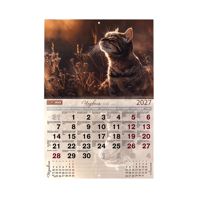 Календар настінний перекидний BuroMax "Коти" 2027 330х480 мм 120 г/м2 14 аркушів на скобі (BM.210301) - зображення 8