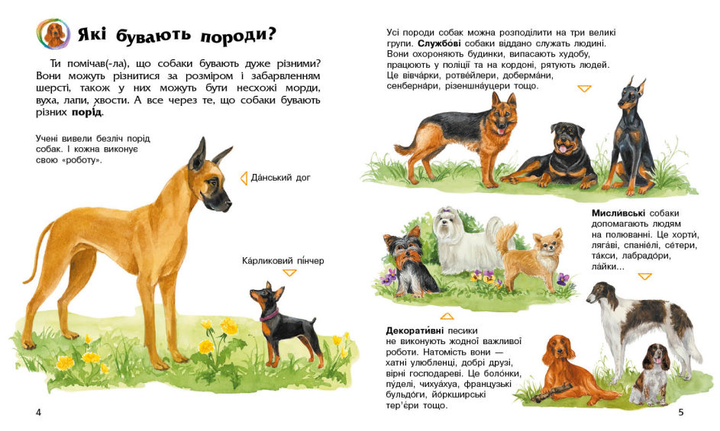Енциклопедія дошкільника. Собаки - Каспарова Юлія Вадимівна (9786170976819) - зображення 2