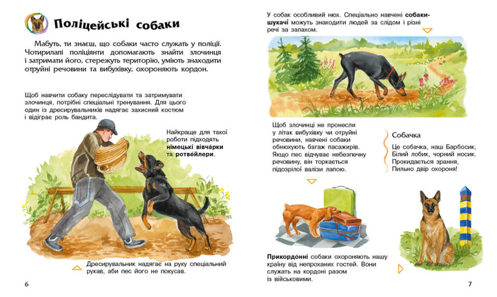 Енциклопедія дошкільника. Собаки - Каспарова Юлія Вадимівна (9786170976819) - зображення 3