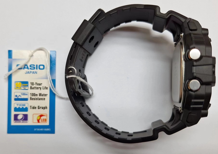Электронные часы Casio WS-1700H-1A черные 100 м - изображение 4