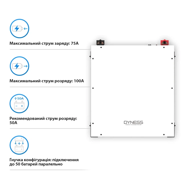Акумуляторна батарея Dyness DL5.0C Heat 51.2V 100Ah 5.12kWh LiFePo4 (DL5.0C-H) - зображення 3