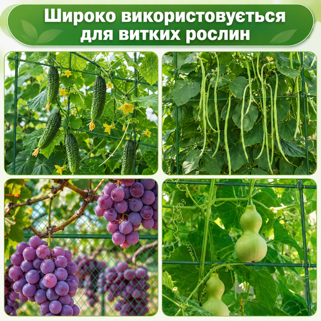 Садовая U-образная шпалера-арка для вьющихся растений с сеткой 160 × 120 см CU-M - изображение 8