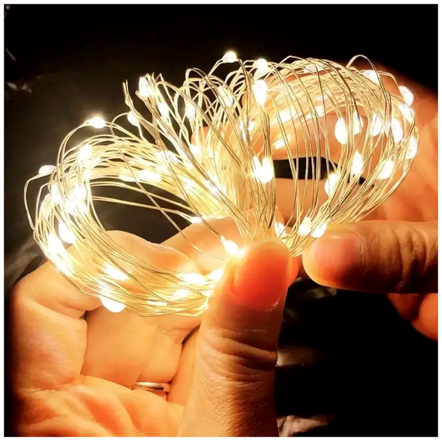 Гірлянда нитка 100 LED 10 м 2 Вт 220 В Теплий білий 8 режимів для дому Роса SQ-26614 - зображення 4