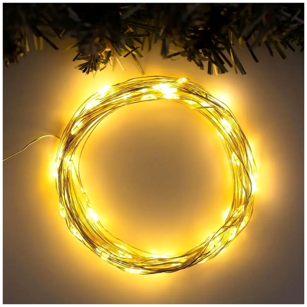 Гірлянда нитка 100 LED 10 м 2 Вт 220 В Теплий білий 8 режимів для дому Роса SQ-26614 - зображення 6