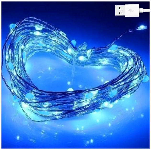 Гирлянда нить 100 LED 10м 1Вт 5В USB сине-белая 8 режимов IP44 для украшения интерьера SQ-26622 - изображение 2
