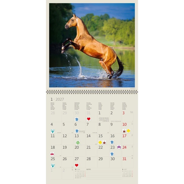 Календарь настенный Helma 2027 Horses, 30x30 см (LP03-27) - Фото 13 Календарь настенный Helma 2027 Horses, 30x30 см (LP03-27) - изображение 13