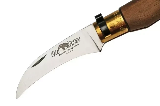 Ніж грибника Antonini Old Bear 19.8 см Aisi 420 - Фото 3 Ніж грибника Antonini Old Bear 19.8 см Aisi 420 - зображення 3