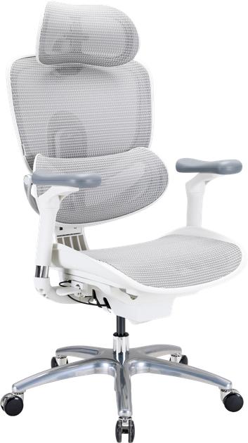 Fotel biurowy ergonomiczny Sihoo DORO C300 LITE V2 White (4820216980127) - Zdjęcie 2 Fotel biurowy ergonomiczny Sihoo DORO C300 LITE V2 White (4820216980127) - obraz 2