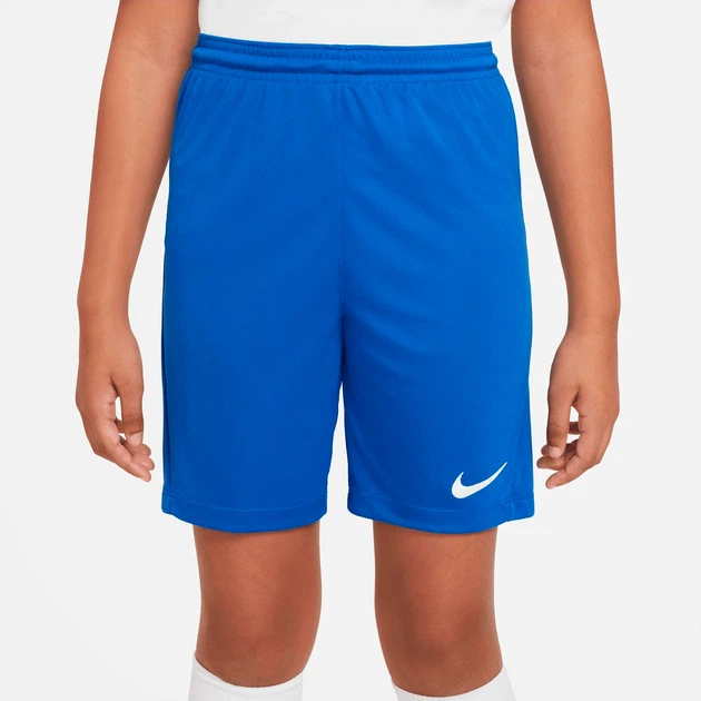 Шорти підліткові Nike Park Iii 158-170 СM Синій BV6865-463 - Фото 1 Шорти підліткові Nike Park Iii 158-170 СM Синій BV6865-463 - зображення 1