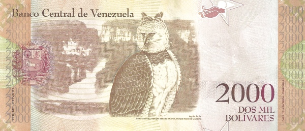 2000 Болівар Bolívares 2007-2016 рік Банкнота Венесуела Південна Америка UNC P-96 - Фото 2 2000 Болівар Bolívares 2007-2016 рік Банкнота Венесуела Південна Америка UNC P-96 - изображение 2
