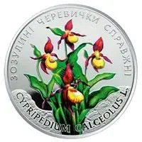 Зозулині черевички справжні 2 гривні 2016 рік Україна Колекційна монета в буклеті НБУ (Банківський стан) - изображение 3