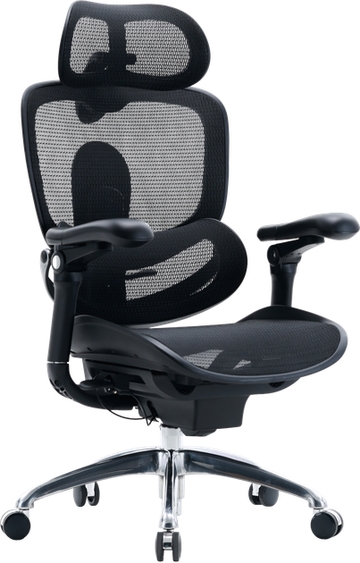 Fotel biurowy ergonomiczny Sihoo DORO C300 PRO V2 Czarny (4820216980141) - Zdjęcie 2 Fotel biurowy ergonomiczny Sihoo DORO C300 PRO V2 Czarny (4820216980141) - obraz 2