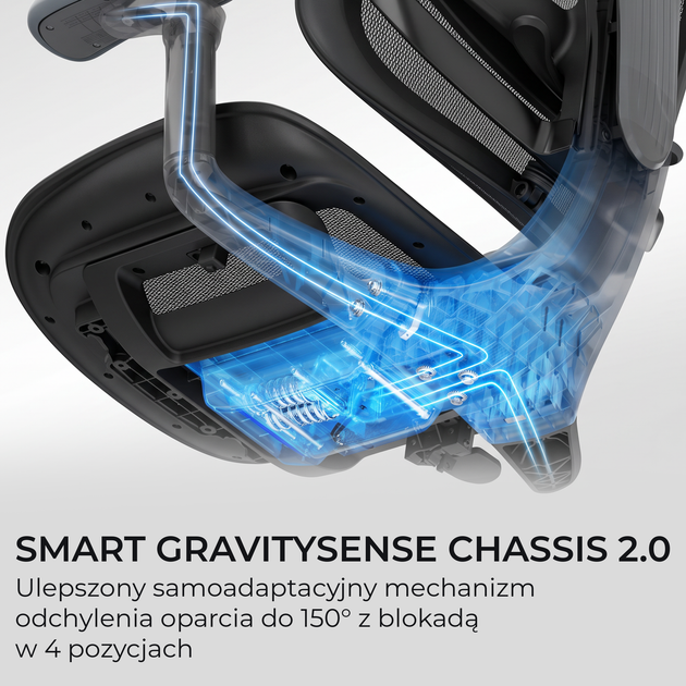 Fotel biurowy ergonomiczny Sihoo DORO C300 PRO V2 Czarny (4820216980141) - Zdjęcie 5 Fotel biurowy ergonomiczny Sihoo DORO C300 PRO V2 Czarny (4820216980141) - obraz 5