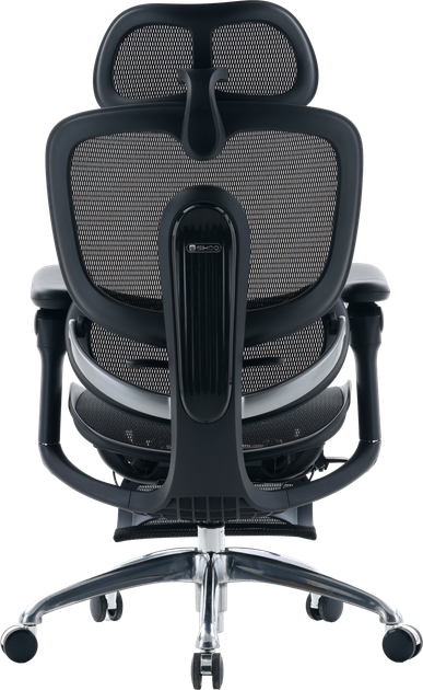 Fotel biurowy ergonomiczny Sihoo DORO C300 PRO V2 z podnożkiem Czarny (4820216980158) - Zdjęcie 2 Fotel biurowy ergonomiczny Sihoo DORO C300 PRO V2 z podnożkiem Czarny (4820216980158) - obraz 2