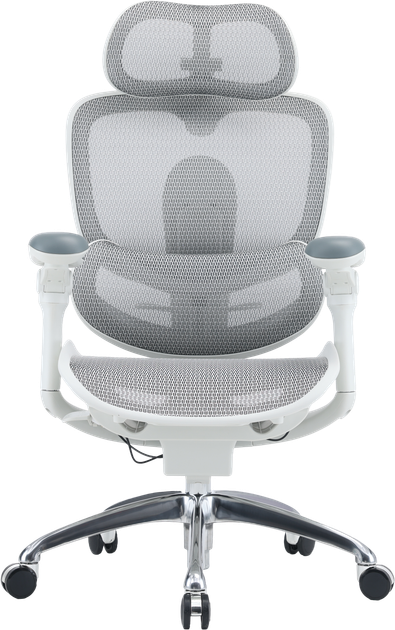 Fotel biurowy ergonomiczny Sihoo DORO C300 PRO V2 White (4820216980165) - Zdjęcie 1 Fotel biurowy ergonomiczny Sihoo DORO C300 PRO V2 White (4820216980165) - obraz 1