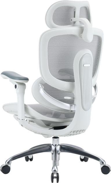 Fotel biurowy ergonomiczny Sihoo DORO C300 PRO V2 White (4820216980165) - Zdjęcie 5 Fotel biurowy ergonomiczny Sihoo DORO C300 PRO V2 White (4820216980165) - obraz 5