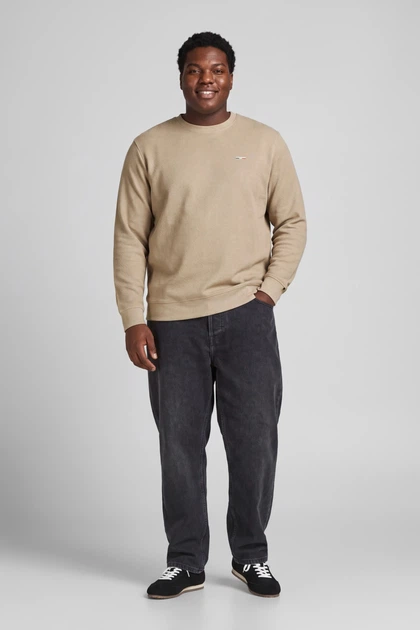 Світшот Alves Structure Jack&Jones бежевий 3XL (sw-jj-010-beige-3405) - изображение 3