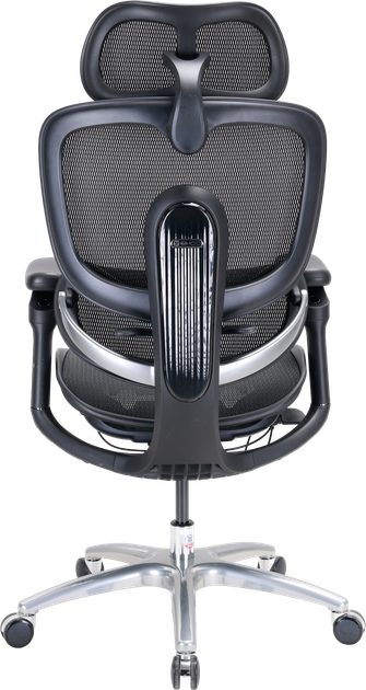 Fotel biurowy ergonomiczny Sihoo DORO C300 LITE V2 Czarny (4820216980103) - Zdjęcie 2 Fotel biurowy ergonomiczny Sihoo DORO C300 LITE V2 Czarny (4820216980103) - obraz 2