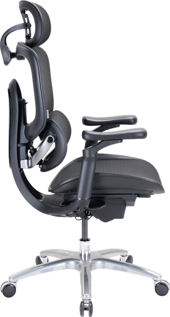 Fotel biurowy ergonomiczny Sihoo DORO C300 LITE V2 Czarny (4820216980103) - Zdjęcie 4 Fotel biurowy ergonomiczny Sihoo DORO C300 LITE V2 Czarny (4820216980103) - obraz 4
