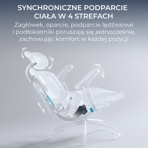 Fotel biurowy ergonomiczny Sihoo DORO C300 LITE V2 Czarny (4820216980103) - Zdjęcie 12 Fotel biurowy ergonomiczny Sihoo DORO C300 LITE V2 Czarny (4820216980103) - obraz 12