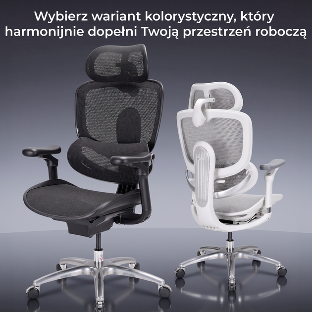 Fotel biurowy ergonomiczny Sihoo DORO C300 LITE V2 Czarny (4820216980103) - Zdjęcie 16 Fotel biurowy ergonomiczny Sihoo DORO C300 LITE V2 Czarny (4820216980103) - obraz 16