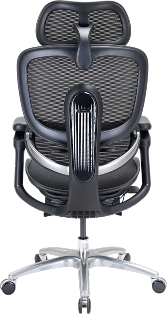 Fotel biurowy ergonomiczny Sihoo DORO C300 LITE V2 z podnóżkiem Czarny (4820216980110) - Zdjęcie 2 Fotel biurowy ergonomiczny Sihoo DORO C300 LITE V2 z podnóżkiem Czarny (4820216980110) - obraz 2