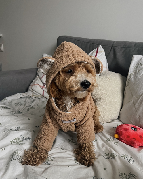 Худи для собаки капучино “Teddy” Feel with Fill, размер XL - Фото 2 Худи для собаки капучино “Teddy” Feel with Fill, размер XL - изображение 2