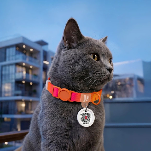 Ошейник для кошек нейлоновый WAUCAT Nylon Recycled с QR адресником, градиент, безопасная пряжка, XS, Ш 10 мм, Длин 20-30 см, оранжевый - Фото 4 Ошейник для кошек нейлоновый WAUCAT Nylon Recycled с QR адресником, градиент, безопасная пряжка, XS, Ш 10 мм, Длин 20-30 см, оранжевый - изображение 4