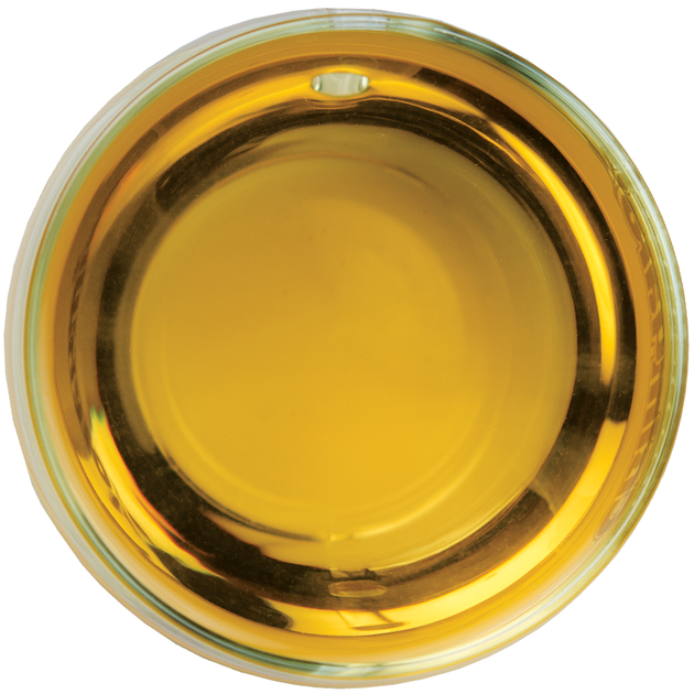 Чай белый Світ чаю Серебряные иглы Бай Хао Cold Brew 50 г (2757-1) - Фото 4 Чай белый Світ чаю Серебряные иглы Бай Хао Cold Brew 50 г (2757-1) - изображение 4