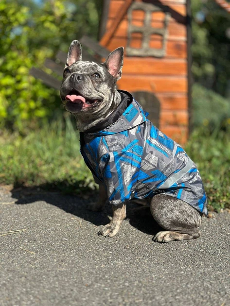 Куртка для собак Diego jacket блакитна геометрія- XS - Фото 2 Куртка для собак Diego jacket блакитна геометрія- XS - изображение 2