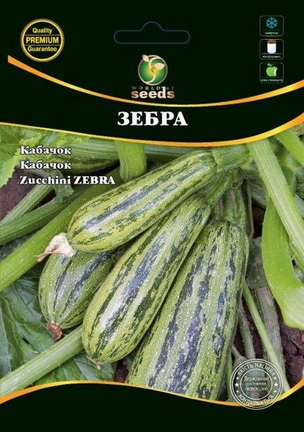 Кабачок "Зебра" 10 г WoS - Фото 1 Кабачок "Зебра" 10 г WoS - изображение 1