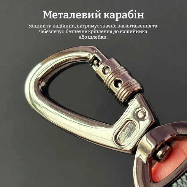 Длинный поводок для собак с металлическим карабином и прорезиненым нейлоном, 3 метра ширина 2,5 см. - Фото 2 Длинный поводок для собак с металлическим карабином и прорезиненым нейлоном, 3 метра ширина 2,5 см. - изображение 2