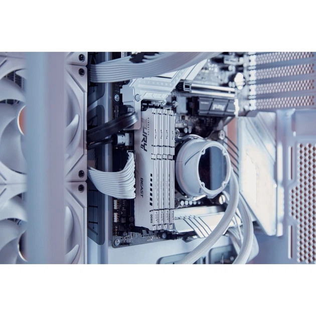 Модуль памяти для компьютера DDR5 32GB 6000 MHz Beast EXPO White Kingston Fury (ex.HyperX) (KF560C36BWE-32) - Фото 6 Модуль памяти для компьютера DDR5 32GB 6000 MHz Beast EXPO White Kingston Fury (ex.HyperX) (KF560C36BWE-32) - изображение 6