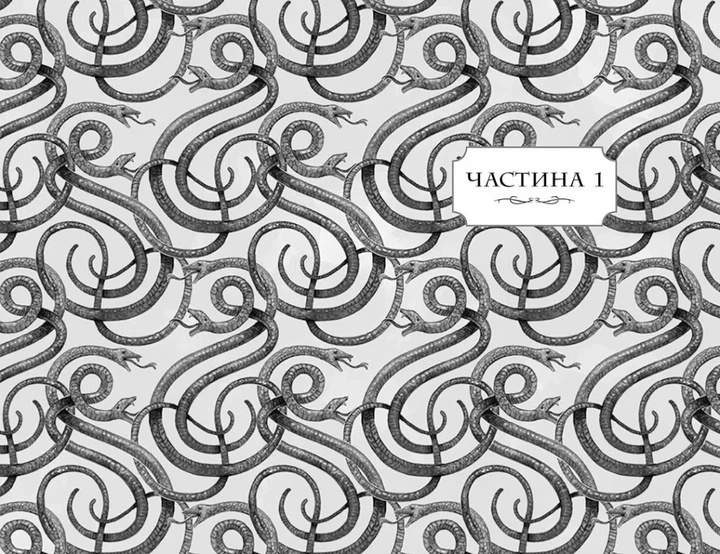 Книга Школа добра і зла. У пошуках слави. Книга 4. Зоман Чейнані - Фото 4 Книга Школа добра і зла. У пошуках слави. Книга 4. Зоман Чейнані - изображение 4
