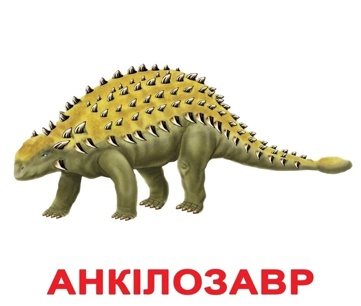 Карточки Домана "Динозавры" украинские (095641/А21) - Фото 1 Карточки Домана "Динозавры" украинские (095641/А21) - изображение 1