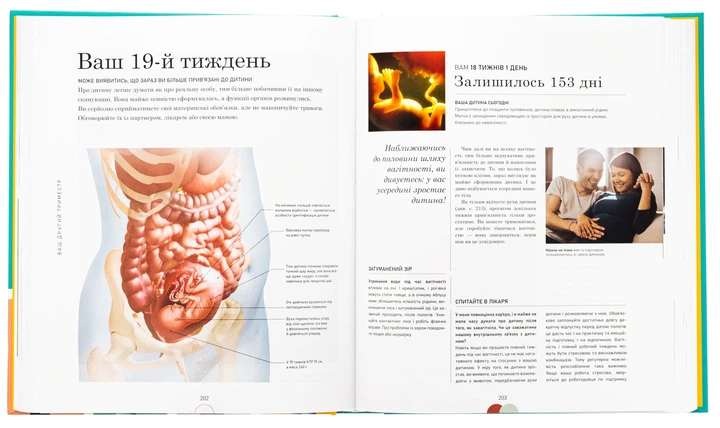 Книга Вагітність день за днем. Меггі Блотт - изображение 4
