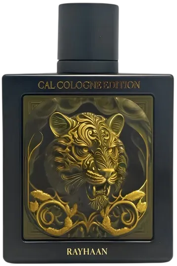 Woda perfumowana męska Rayhaan Tiger 100 ml (6297001571040) - Zdjęcie 1 Woda perfumowana męska Rayhaan Tiger 100 ml (6297001571040) - obraz 1