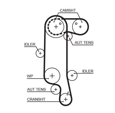 Комплект ГРМ Caddy II/III/Golf IV/Octavia 1.4i 00>05 - GATES (K025565XS) - изображение 2