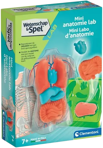 Zestaw naukowy Clementoni Science & Play - Squishy Anatomy (56605) (8005125566051) - Zdjęcie 1 Zestaw naukowy Clementoni Science & Play - Squishy Anatomy (56605) (8005125566051) - obraz 1