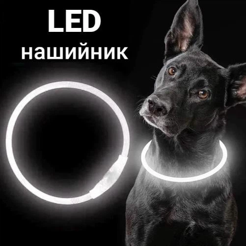 Светодиодный LED ошейник для собак с зарядкой USB 35 см Белый - Фото 2 Светодиодный LED ошейник для собак с зарядкой USB 35 см Белый - изображение 2