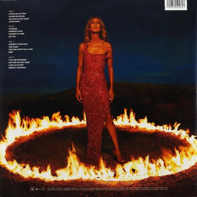 Виниловая пластинка Celine Dion - Courage (2LP), Electronic, Pop - изображение 2